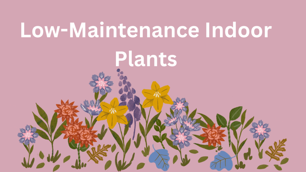 Low-Maintenance Indoor Plants