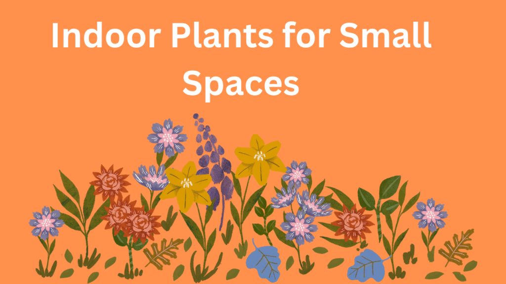 Indoor Plants for Small Spaces