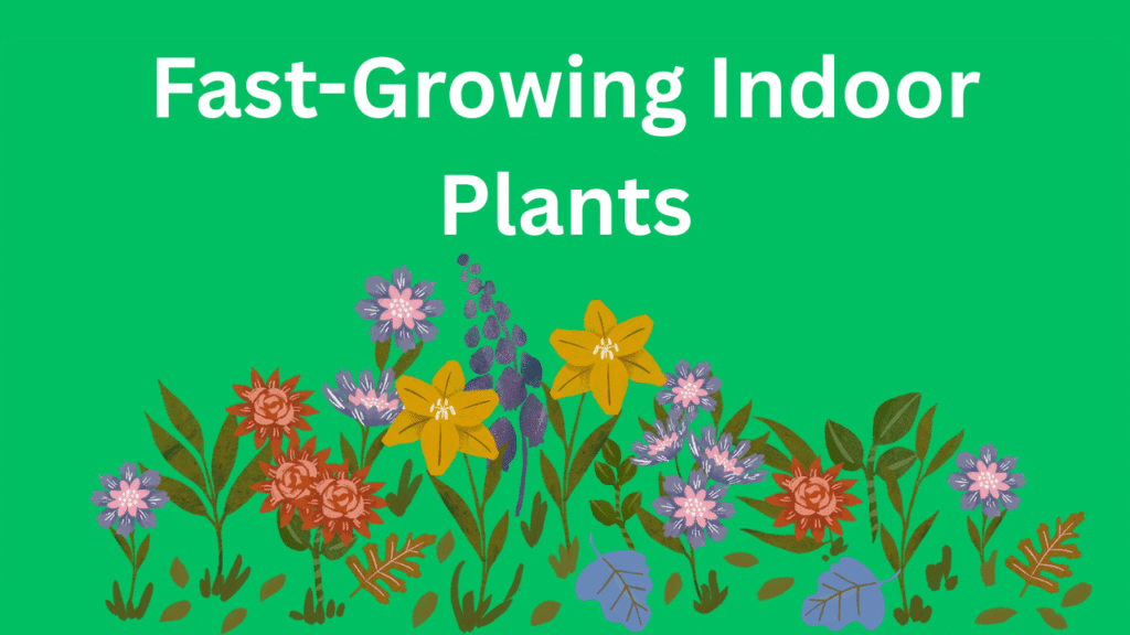 Fast-Growing Indoor Plants